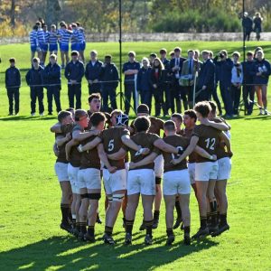 Rugby en équipe Irlande