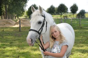 Séjour poney Irlande